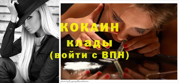 прущие грибы Армянск