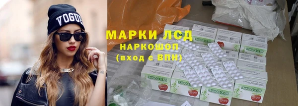 прущие грибы Армянск