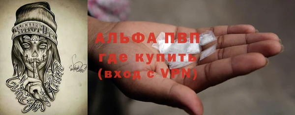 прущие грибы Армянск