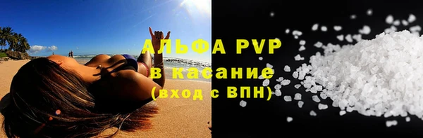 прущие грибы Армянск