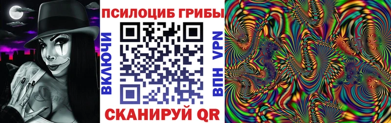 Купить  Беломорск  Псилоцибиновые грибы мухоморы 