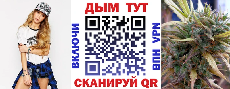 Шишки марихуана марихуана  Купить где  Беломорск 
